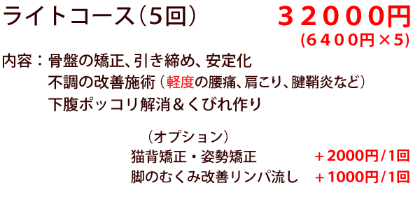 ライトコースの価格