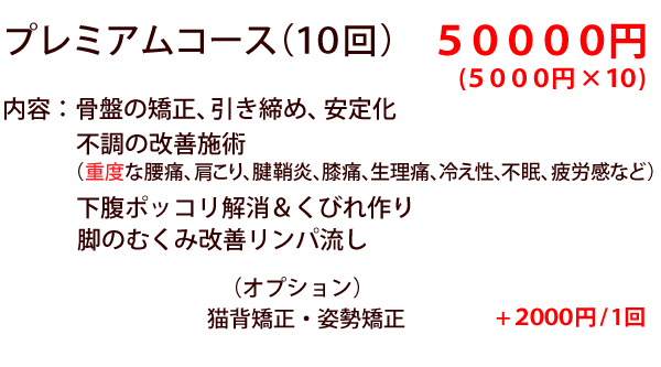 プレミアムコースの価格